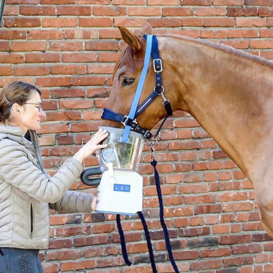 Dexamethason Inhalation Pferd Dosierung