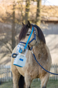 Akku-Ultraschall-Inhalatorset AirOne Flex, Warmblut