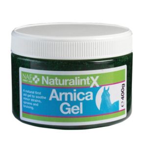 NaturalintX Arnica Gel | Arnika-Salbe