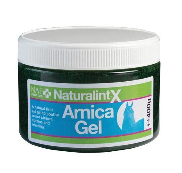 NaturalintX Arnica Gel | Arnika-Salbe