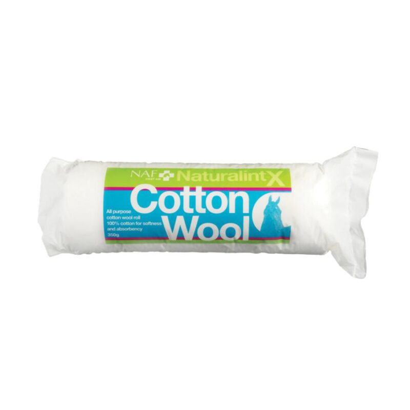 NaturalintX Verbandswatte 350g
