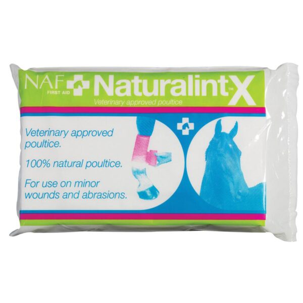 NaturalintX Wundauflage - 1 STÜCK EINZELN