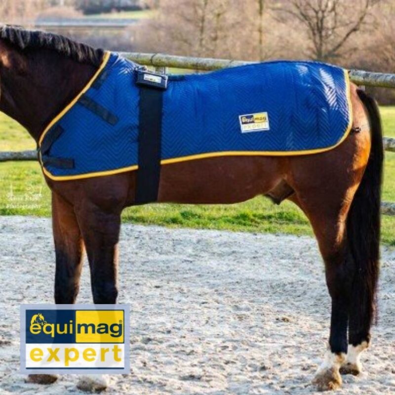 equimag expert Basisset