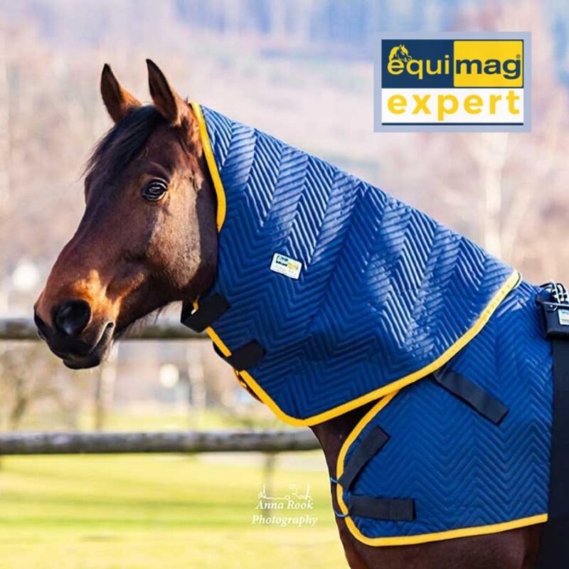 equimag expert Halsteil - Magnetfelddecke