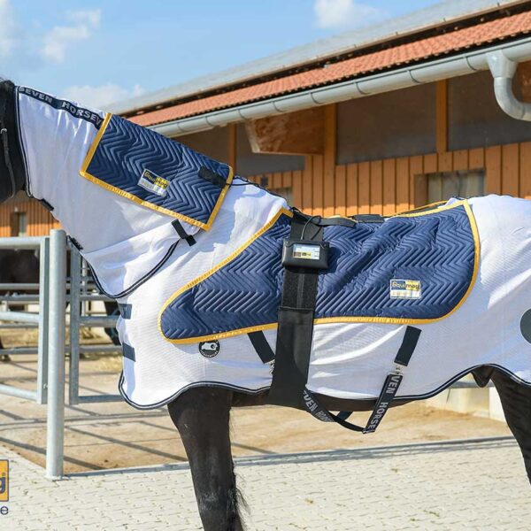 equimag expert Air | sommerliches Komplettset Magnetfeldtherapie