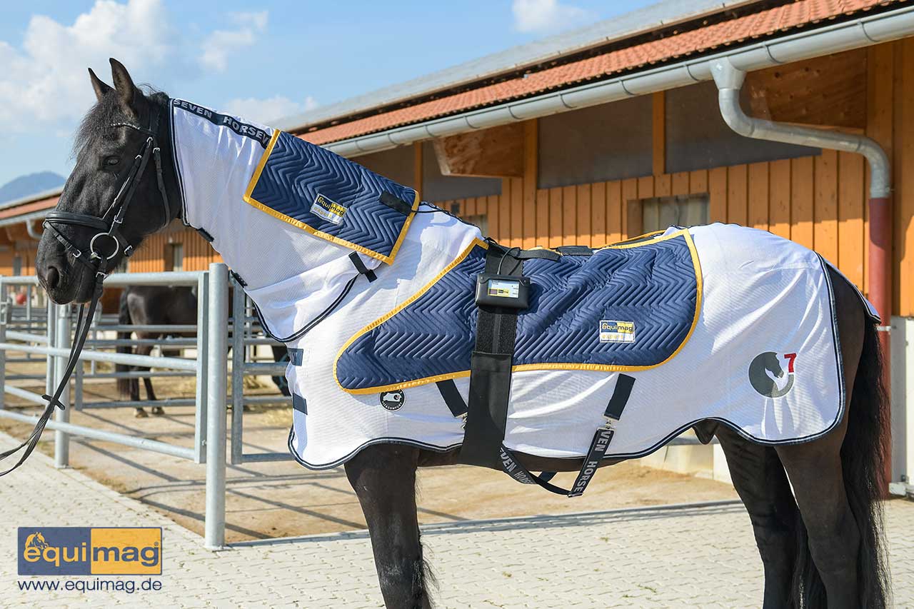 equimag expert Air | sommerliches Komplettset Magnetfeldtherapie