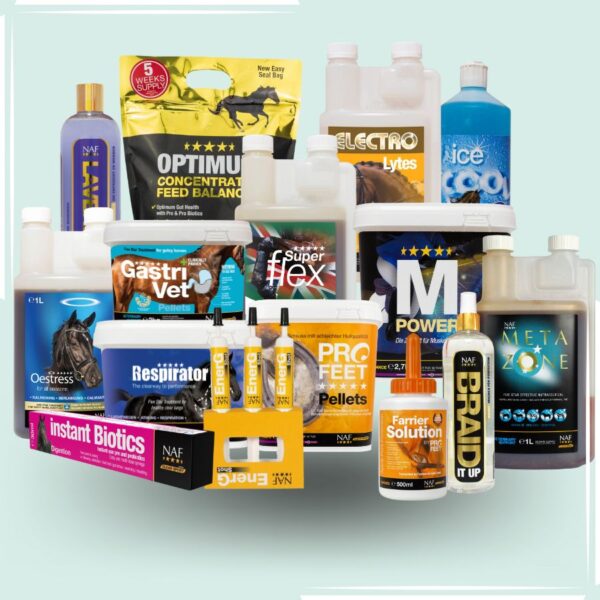 Alle Produkte