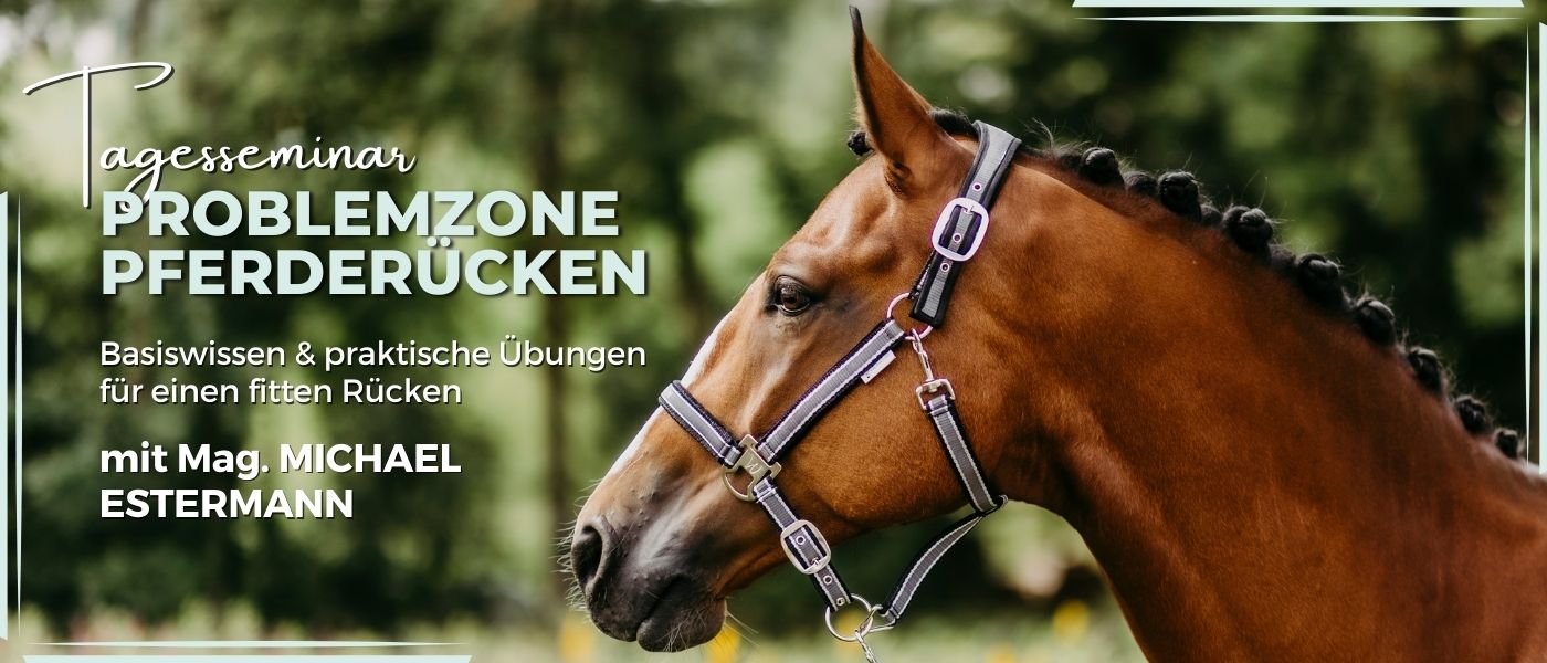 Seminar "Problemzone Pferderücken" mit Michael Estermann