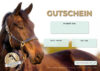 Voucher Option 2