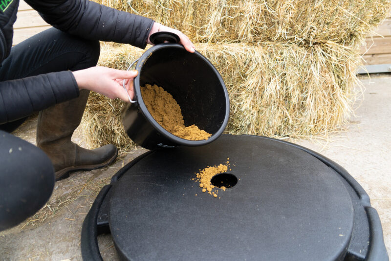 Haygain Forager Slowfeeder – Bild 7