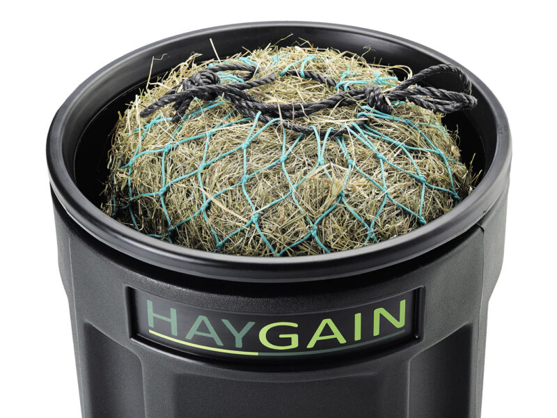 Haygain Heubedampfer HG One | Heubedampfer für 1 Pferd – Bild 3