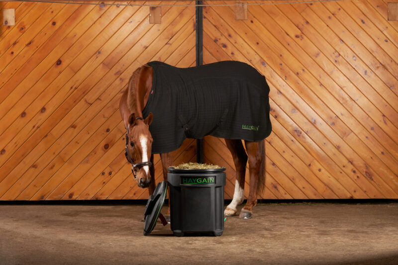 Haygain Heubedampfer HG One | Heubedampfer für 1 Pferd – Bild 5