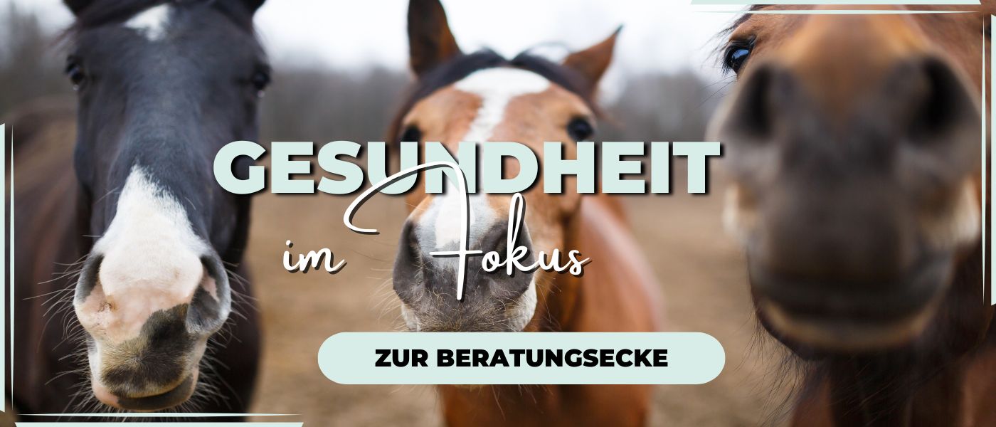 Pferdegesundheit im Fokus - Pferdperfekt Beratungsecke