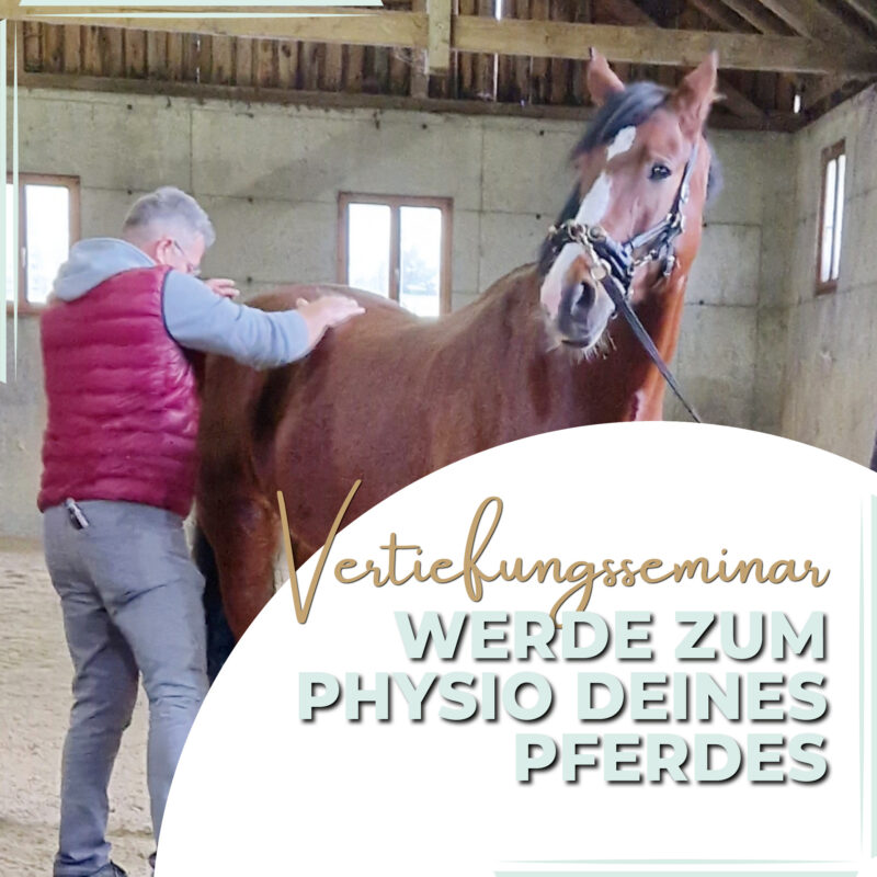 Vertiefungsseminar - Hand anlegen (1,5-tägig)
