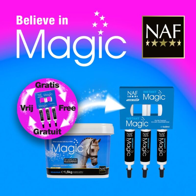 Magic Aktion - Instant Magic gratis