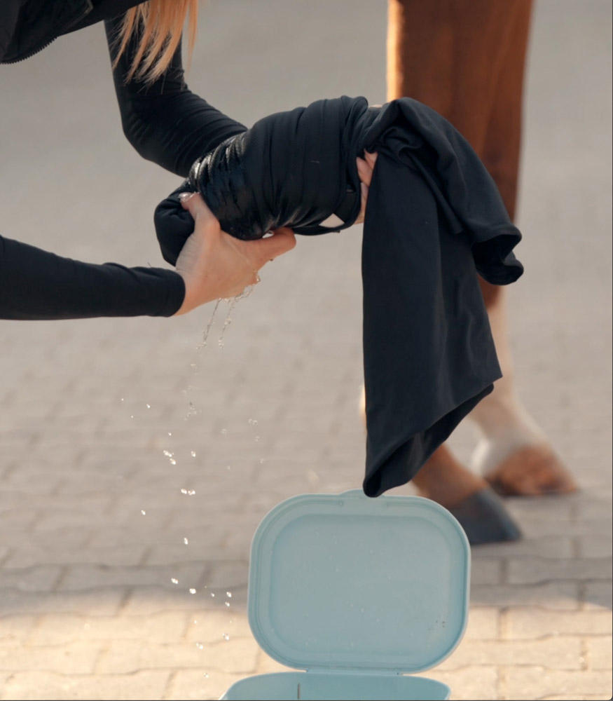 Aktivierung Waldhausen Ice Layer Decke | Kühldecke fürs Pferd